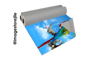 Impressão de Lona Lona PVC 1.60m (Largura Max) 4x0 Opcional verniz de proteção. Apenas impressão. Impressão de lona qualidade de até 1440DPI, largura maxima de boca 1.60m